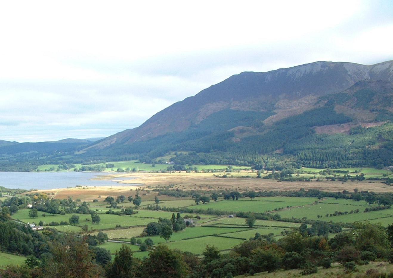 Ullock Pike and Longside Edge from Dodd Wood