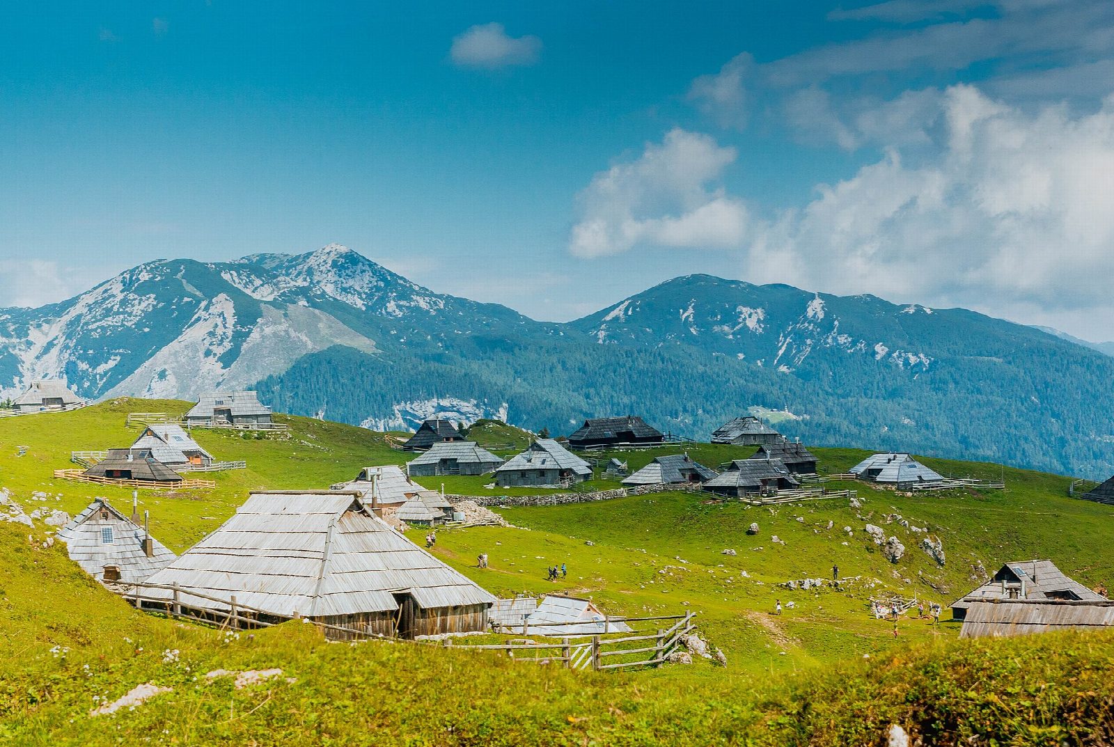 Velika Planina from Rakove Ravni