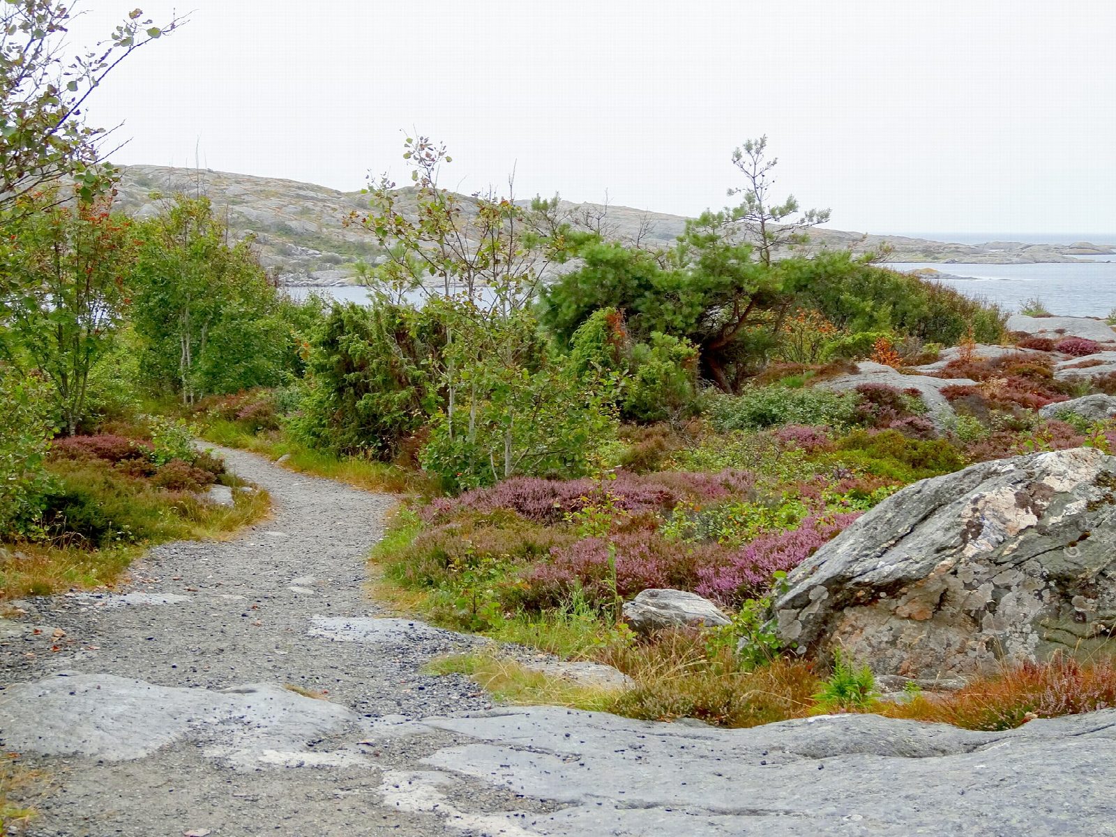 Vrångö: the northern and southern loops