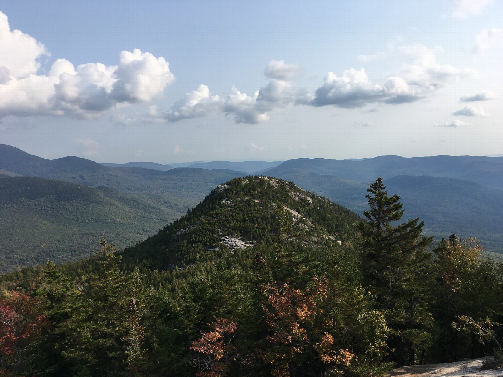 Welch-Dickey Loop