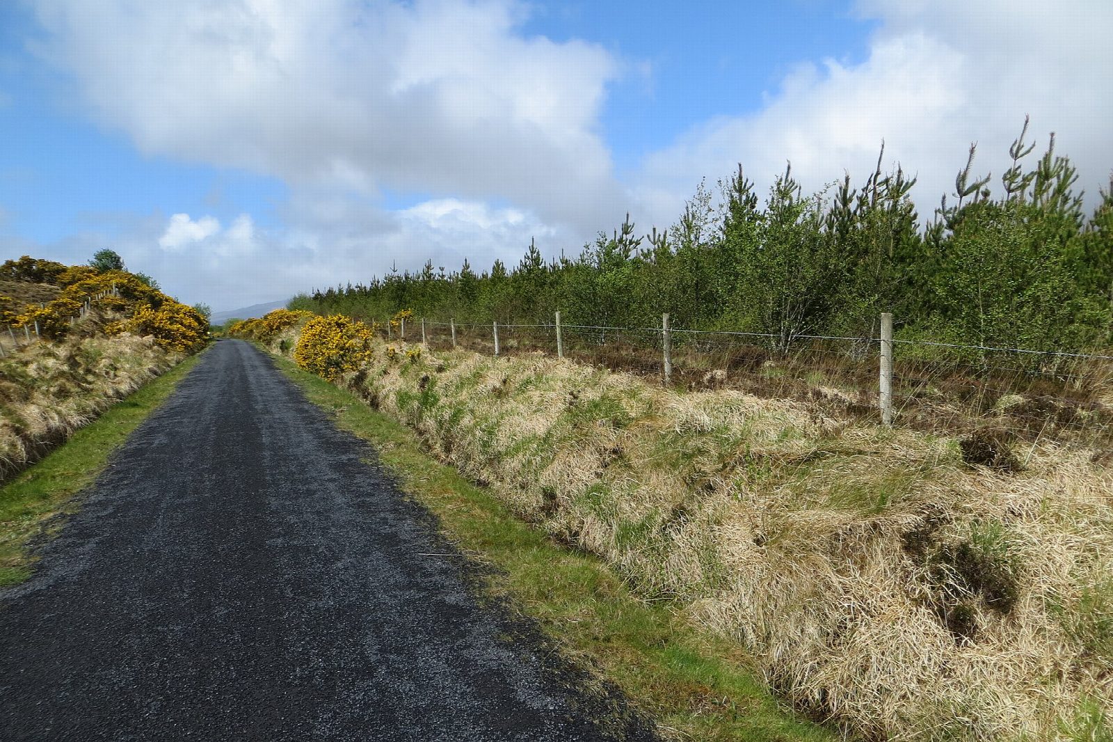 Westport to Mulranny along Clew Bay