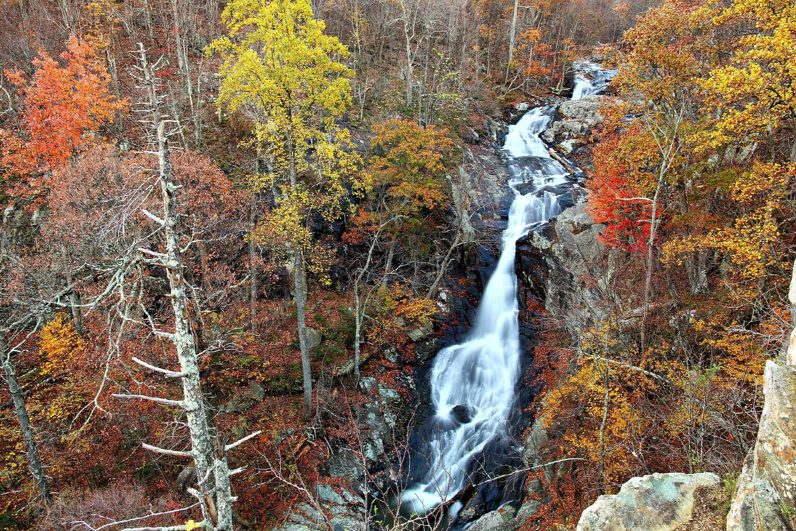 Whiteoak Canyon to the Upper Falls