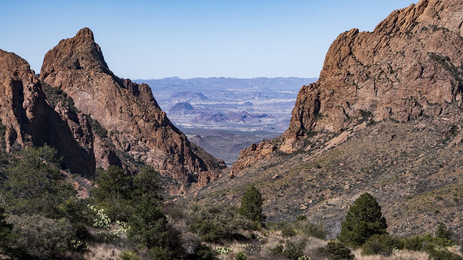 The Window Trail