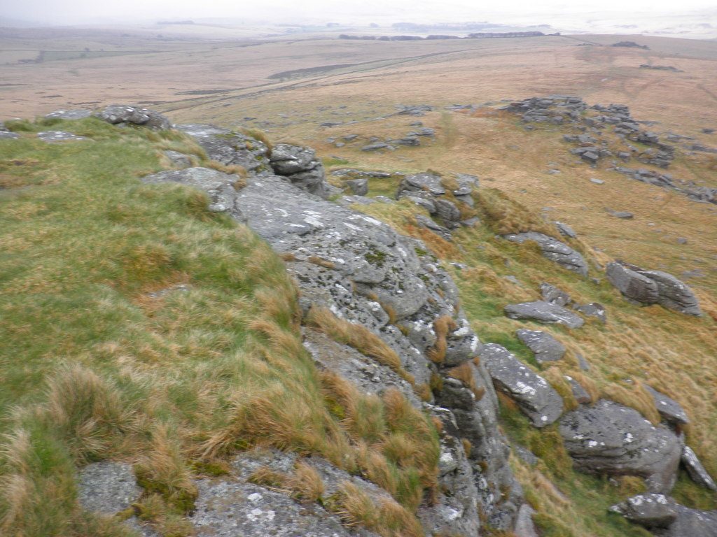 Wistman's Wood and Longaford Tor from Two Bridges