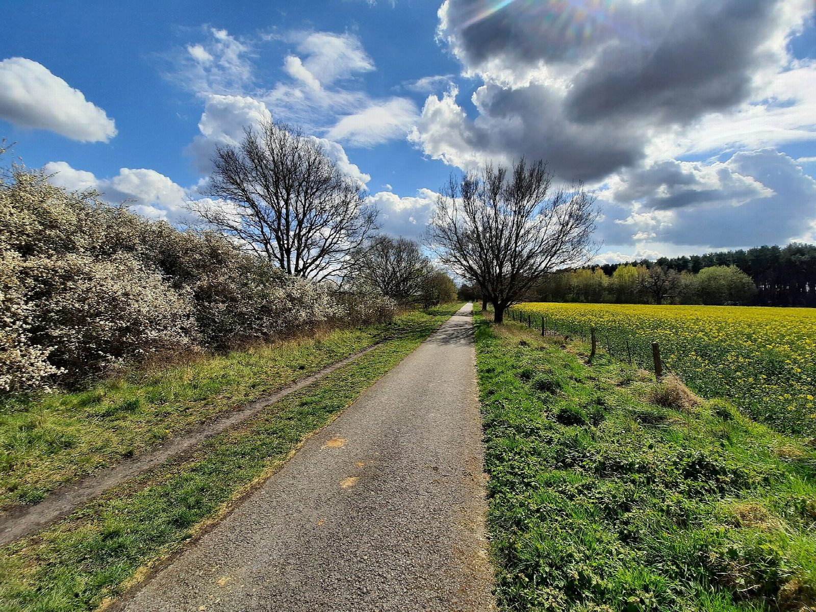 York to Selby on the old main line