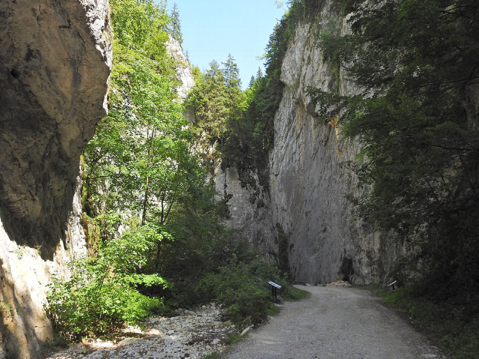 Zărnești Gorge and Curmătura Hut