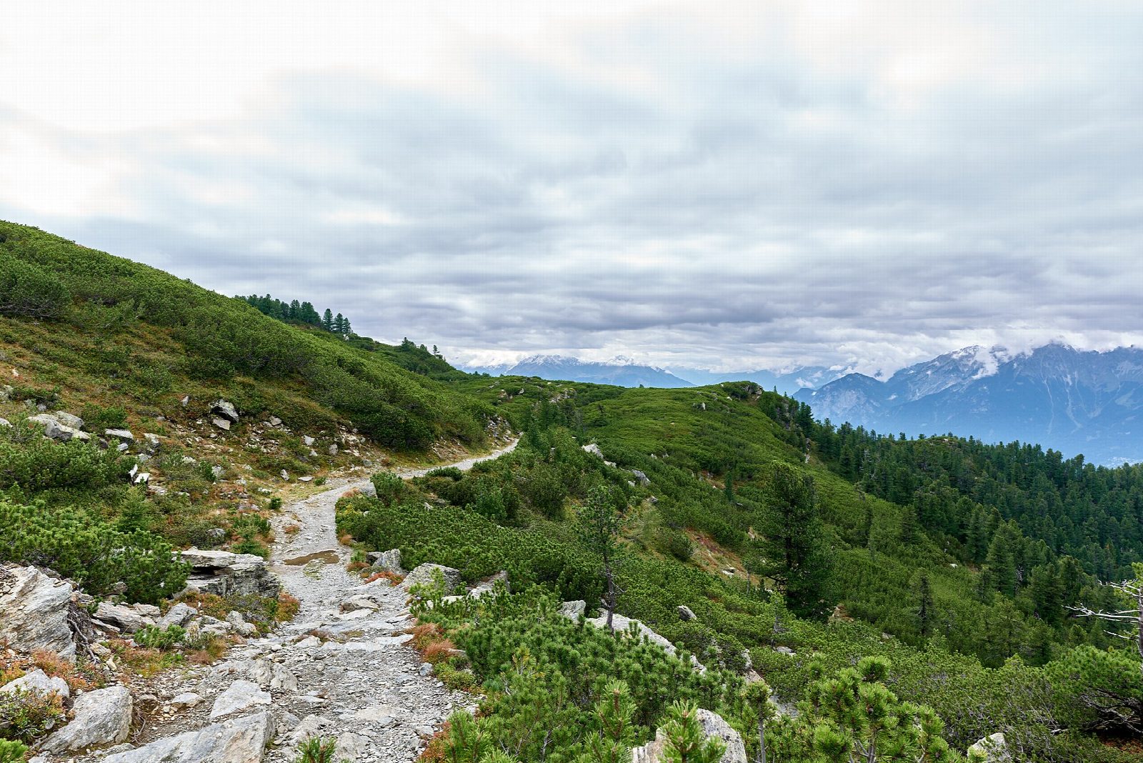 Zirbenweg from the Patscherkofel to the Tulfein Alm