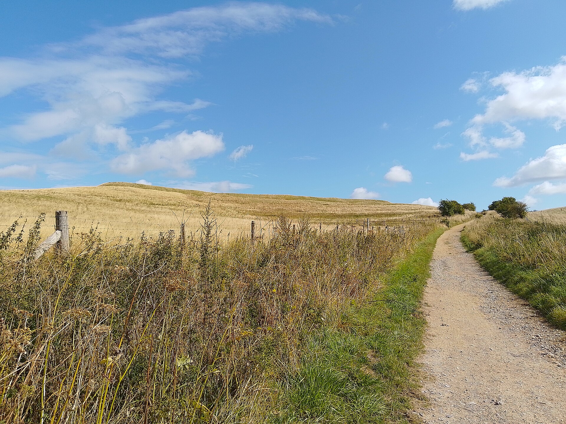 King Alfred's Way