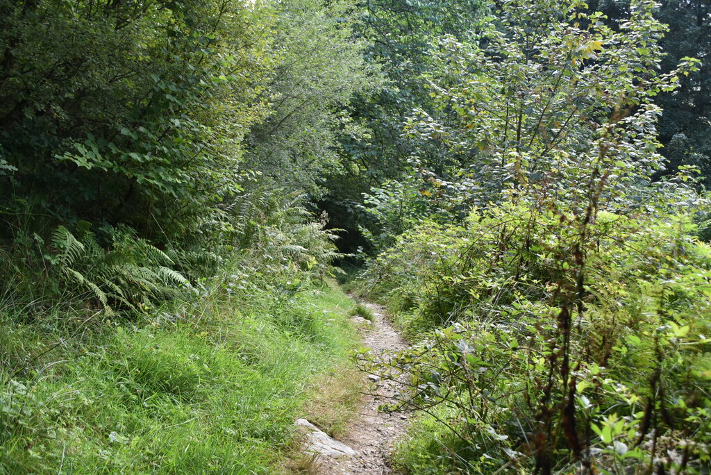 Loch Lomond and Cowal Way