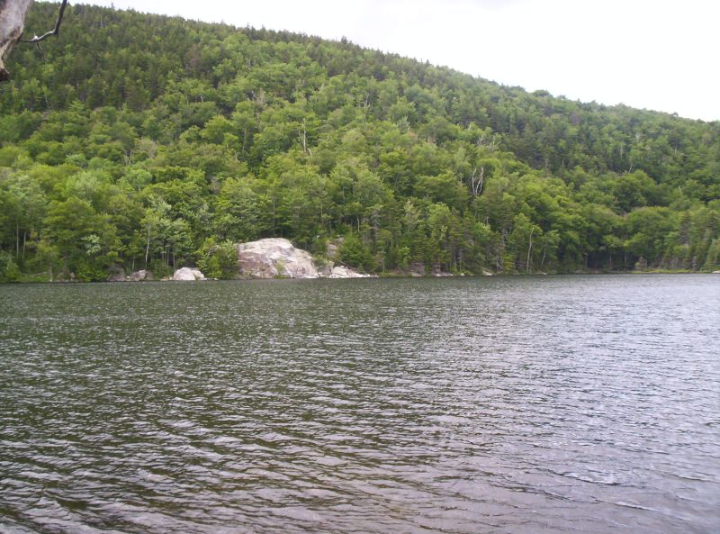 Long Trail
