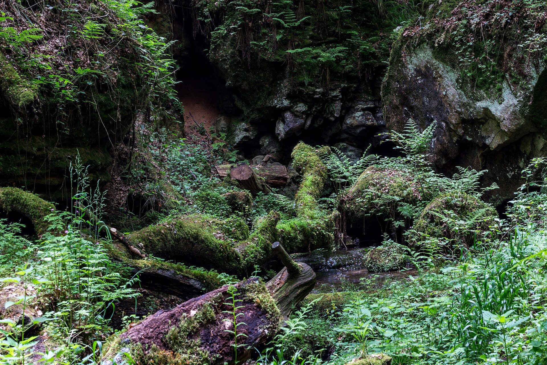 Mullerthal Trail, Route 2