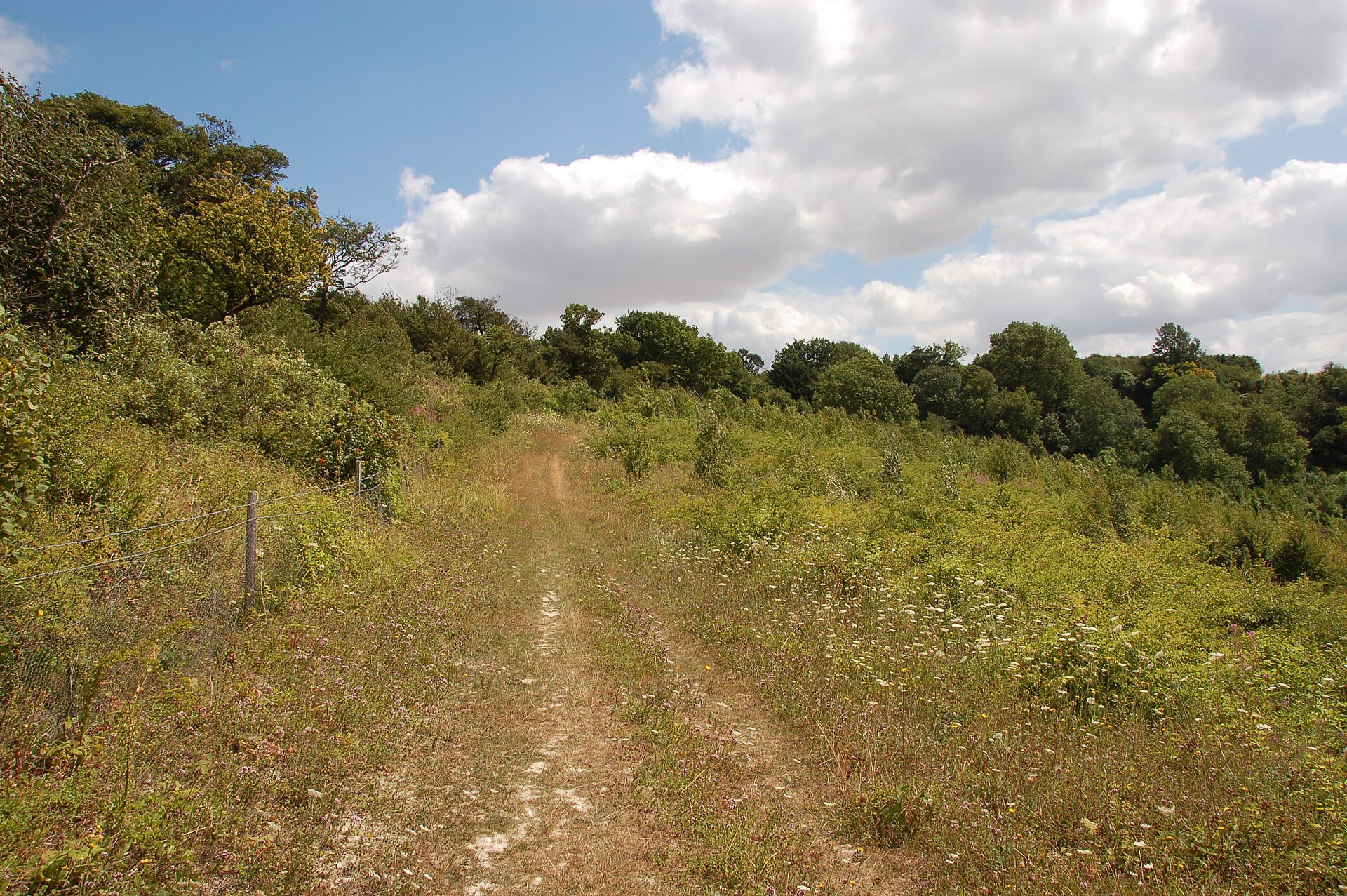 North Downs Way