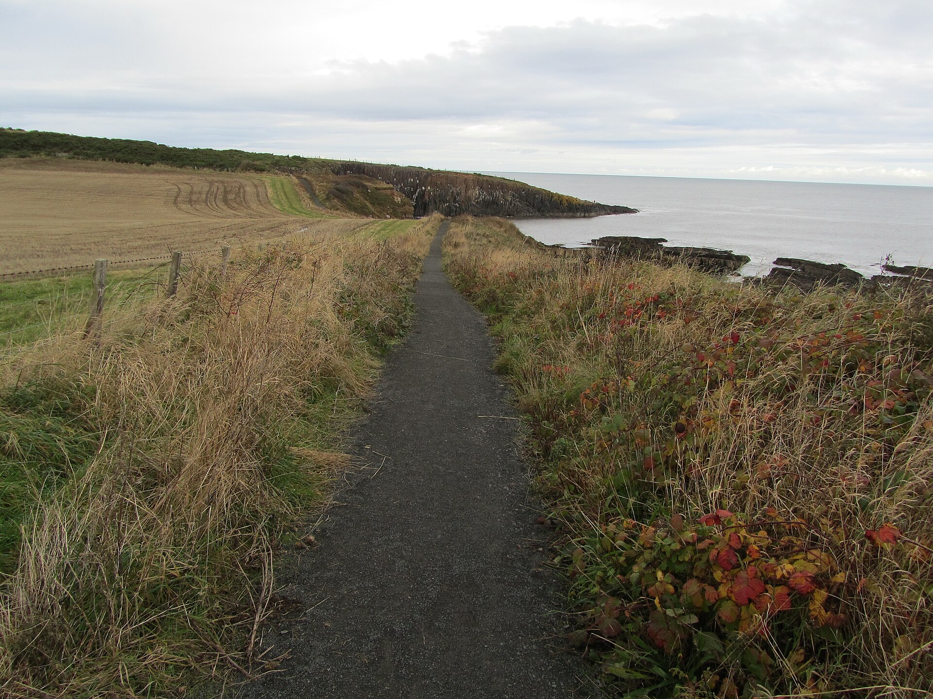 Northumberland Coast Path