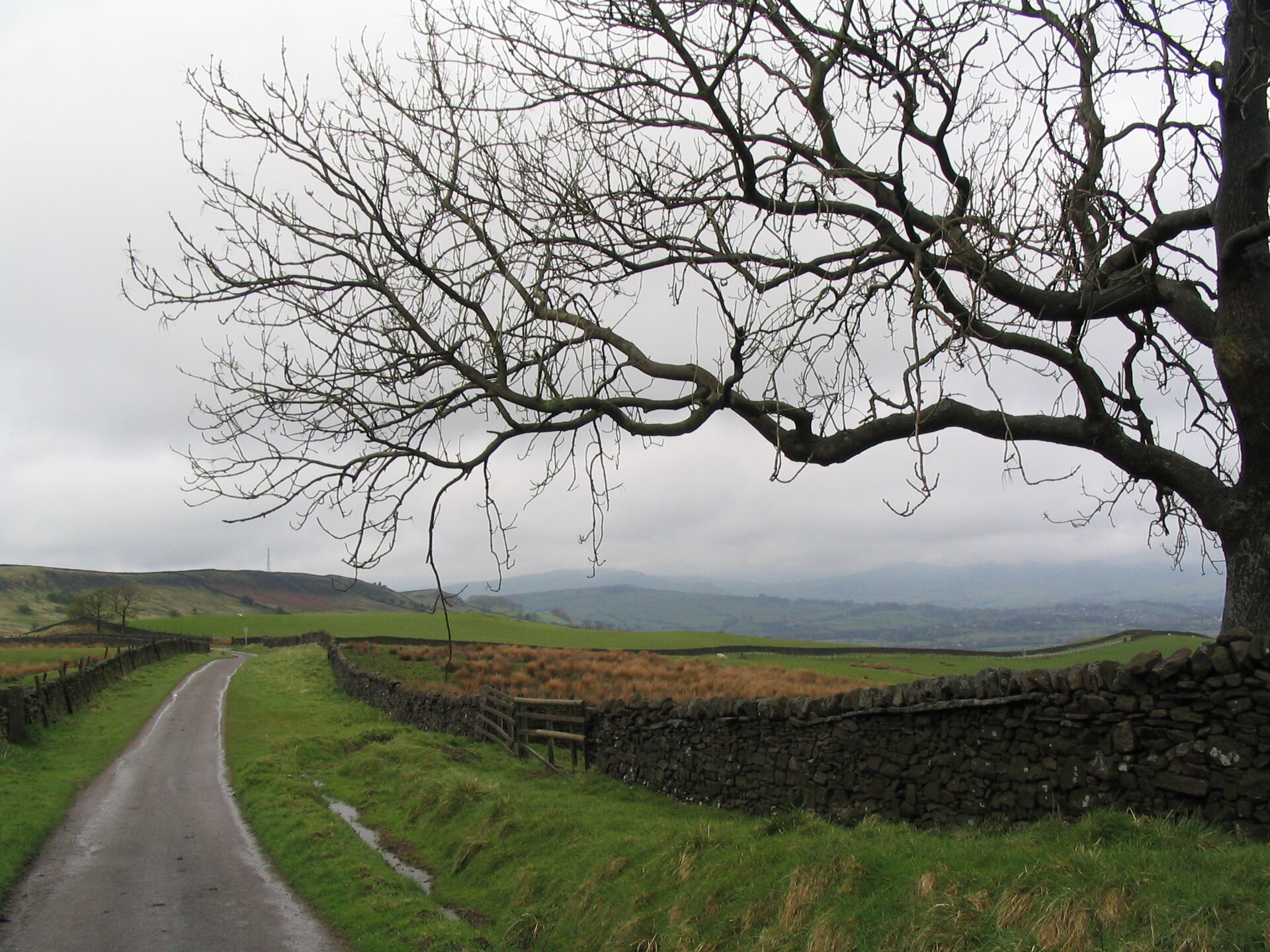 Pennine Cycleway