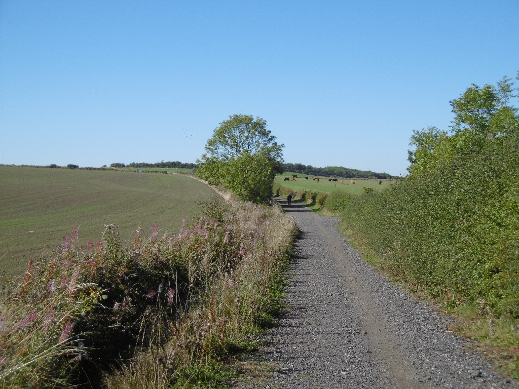 Reivers Route