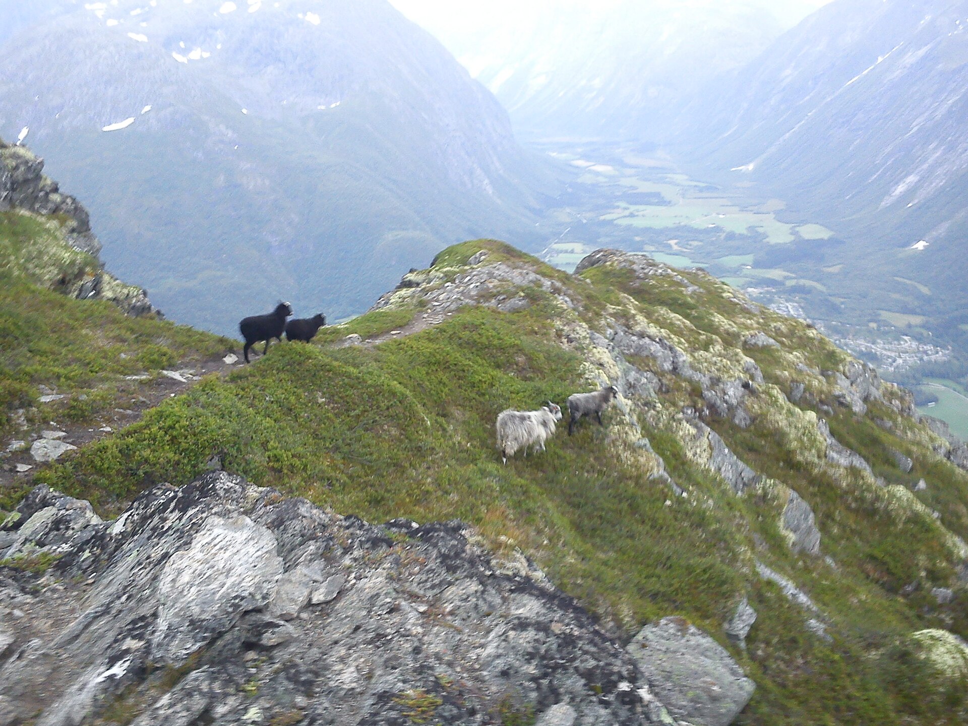 Romsdalseggen