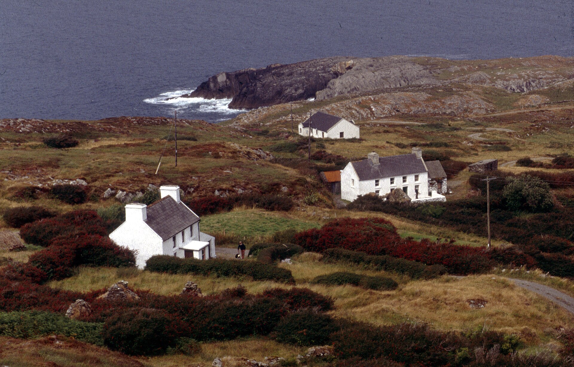 Sheep's Head Way