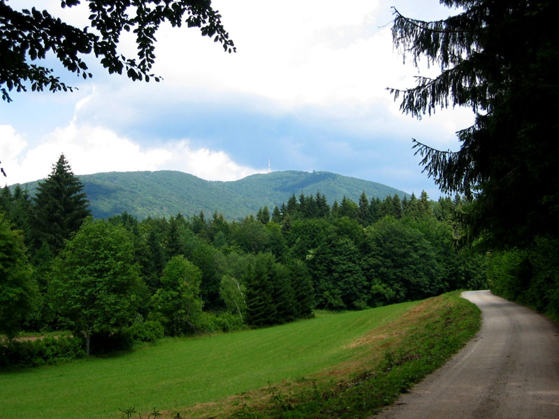 Slovenian Mountain Trail