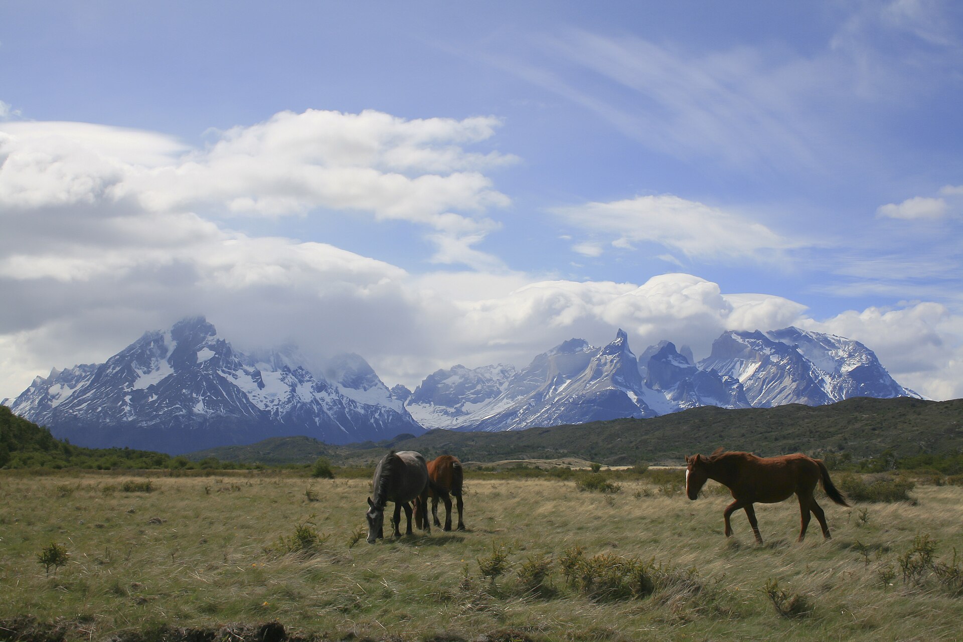 Torres del Paine O Circuit