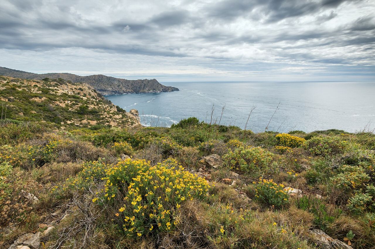 Camí de Ronda (GR 92, Costa Brava)