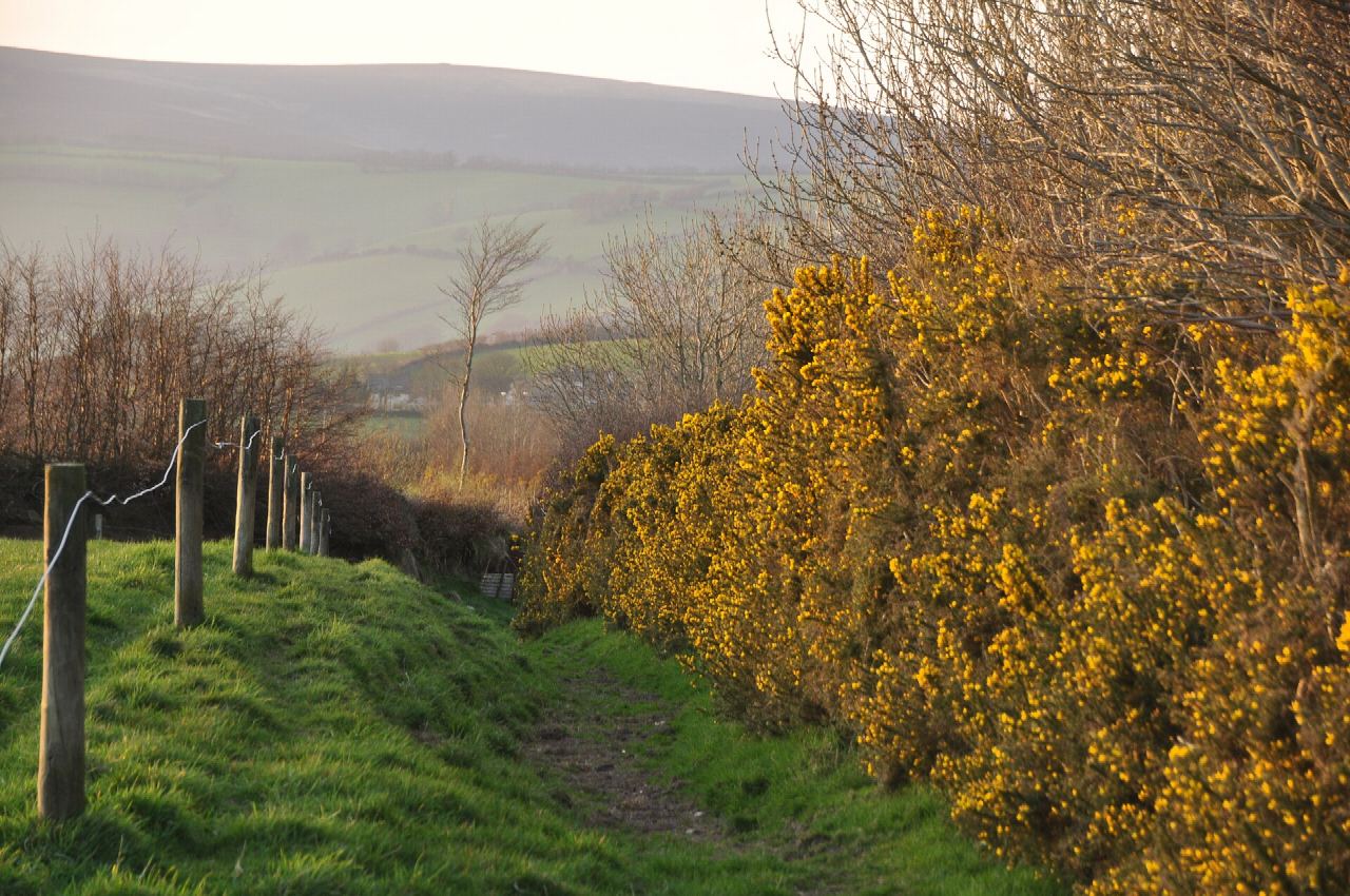 Coleridge Way
