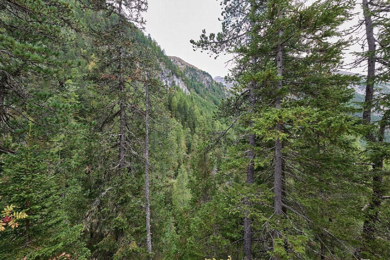 The Albula railway trail from Preda to Bergün