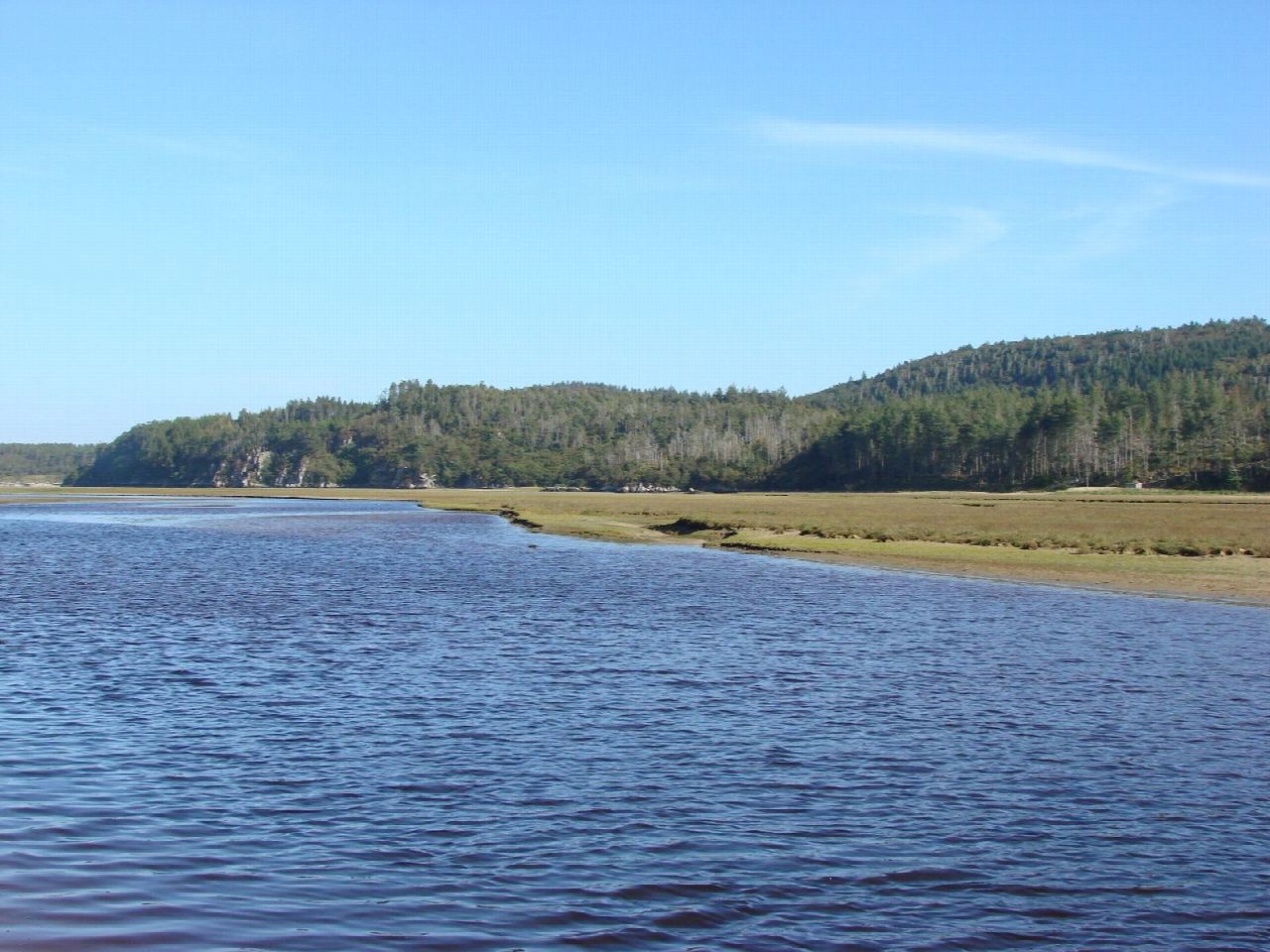 Ards Forest Park: the Yellow and Green walks