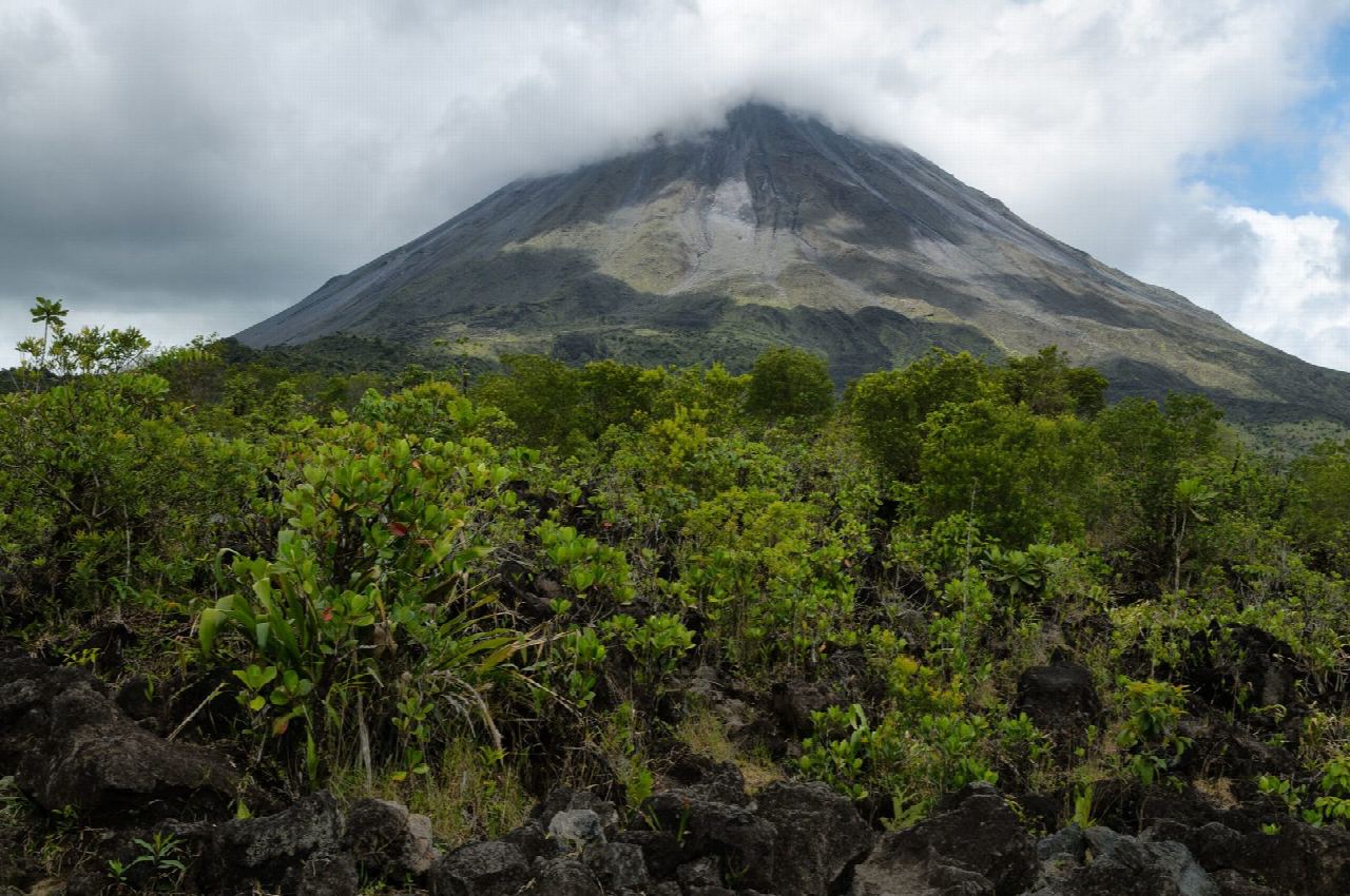 Sendero del Bosque, Arenal 1968
