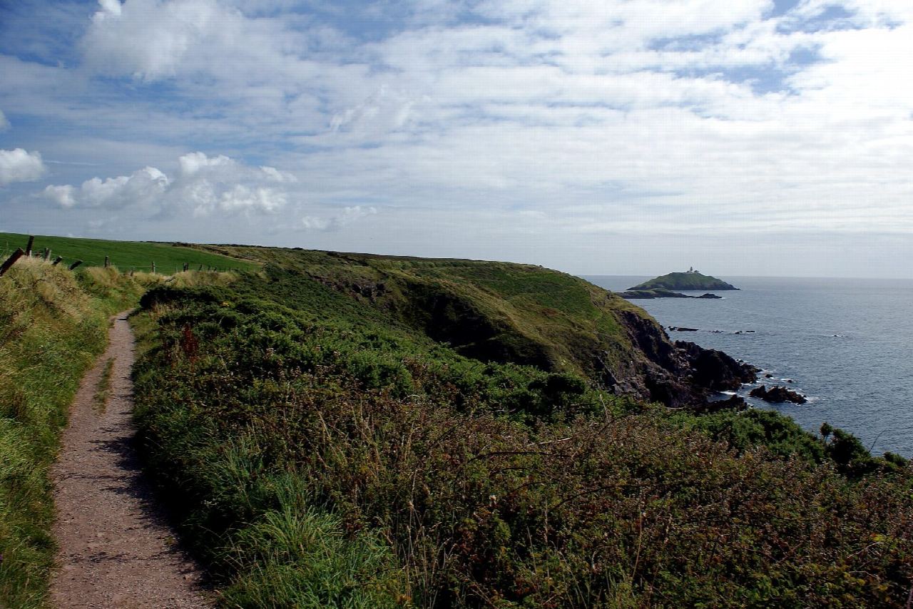 Ballycotton Cliff Walk to Ballyandreen