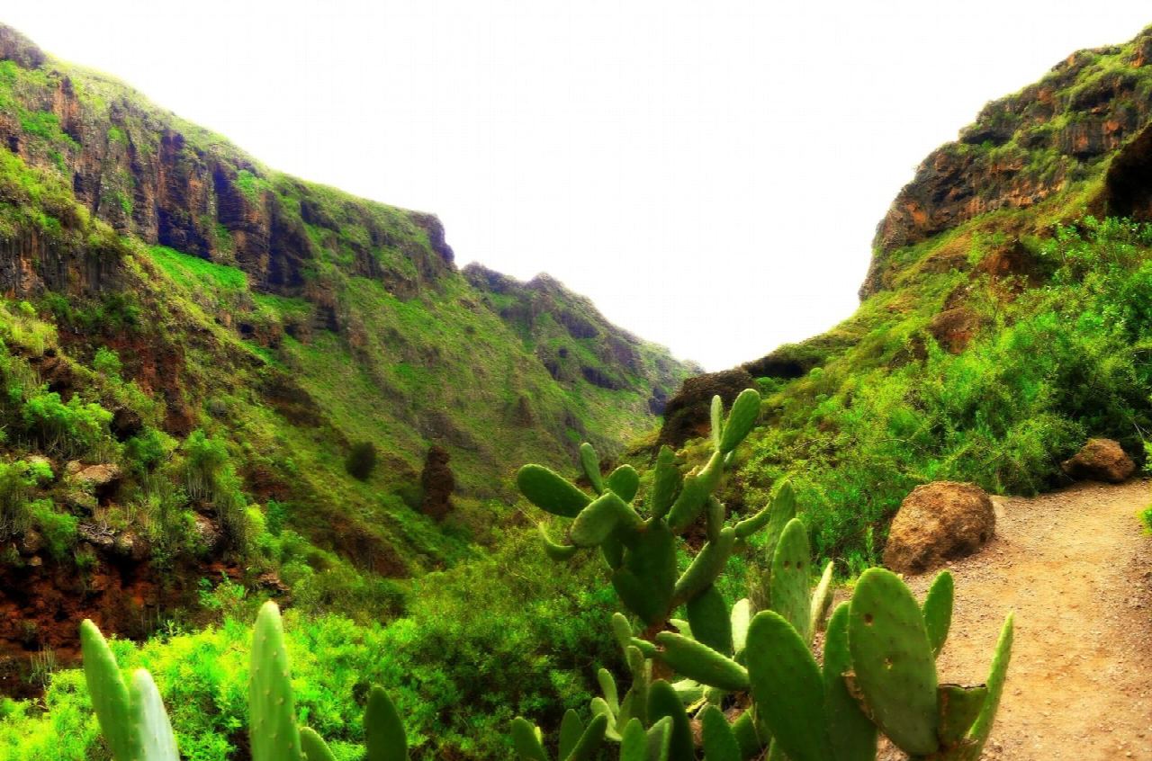 Barranco del Infierno from Adeje