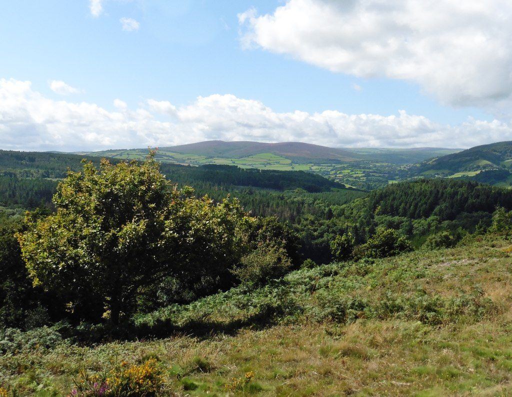 Bat's Castle and Gallox Hill from Dunster Castle