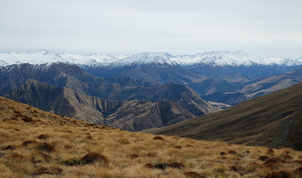 Tiki Trail to Ben Lomond Saddle