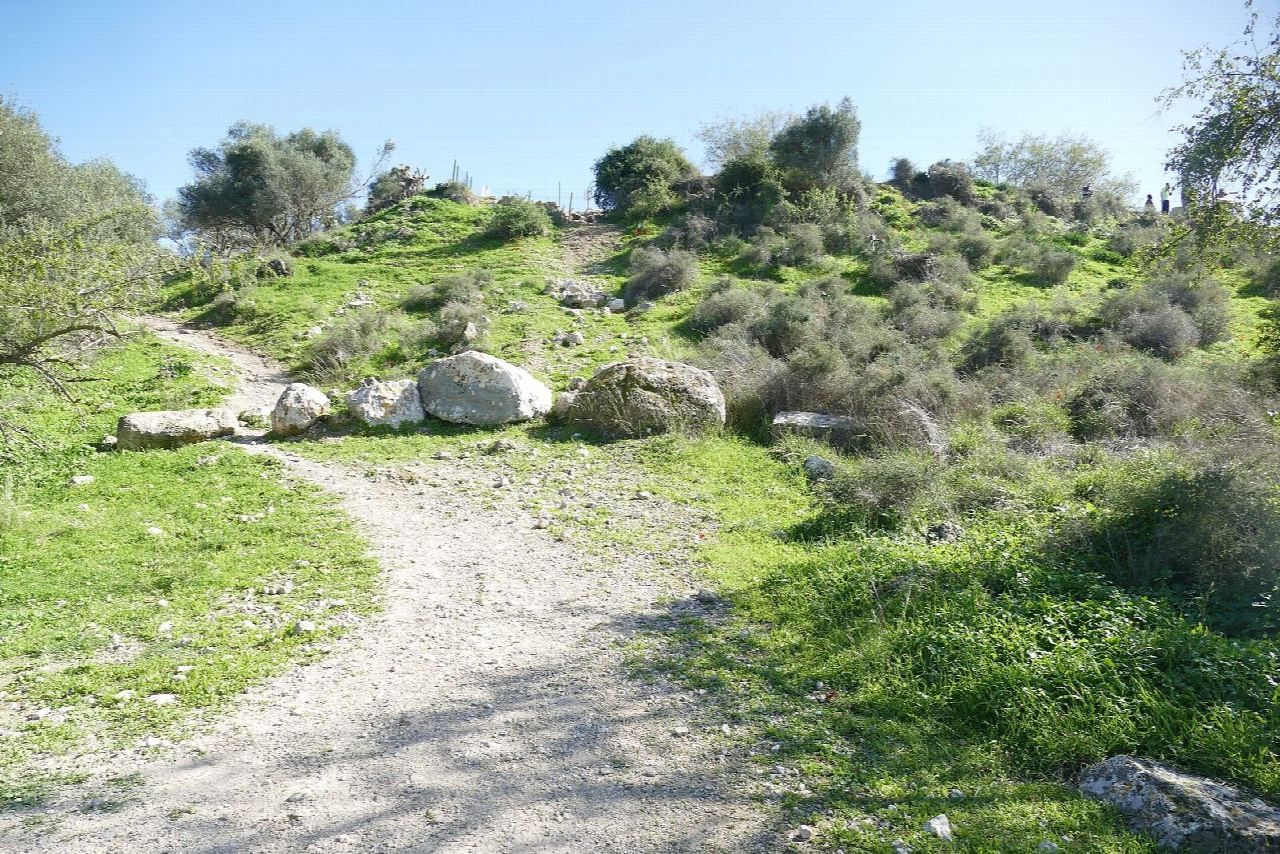 Ben Shemen Forest: the Hadid singletrack round Tel Hadid