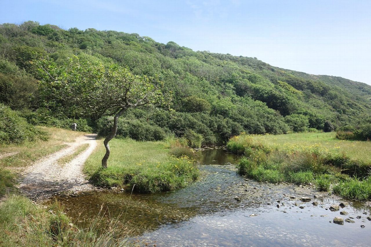 Bishopston Valley from Kittle to Pwlldu Bay