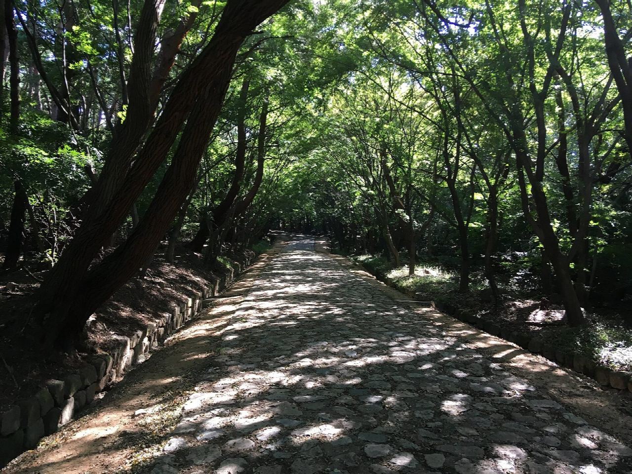 Bulguksa to Seokguram