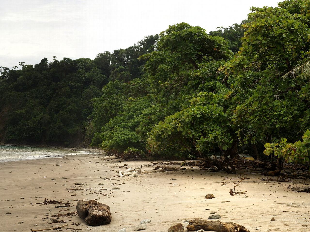 Sendero Sueco a Playa Cabo Blanco