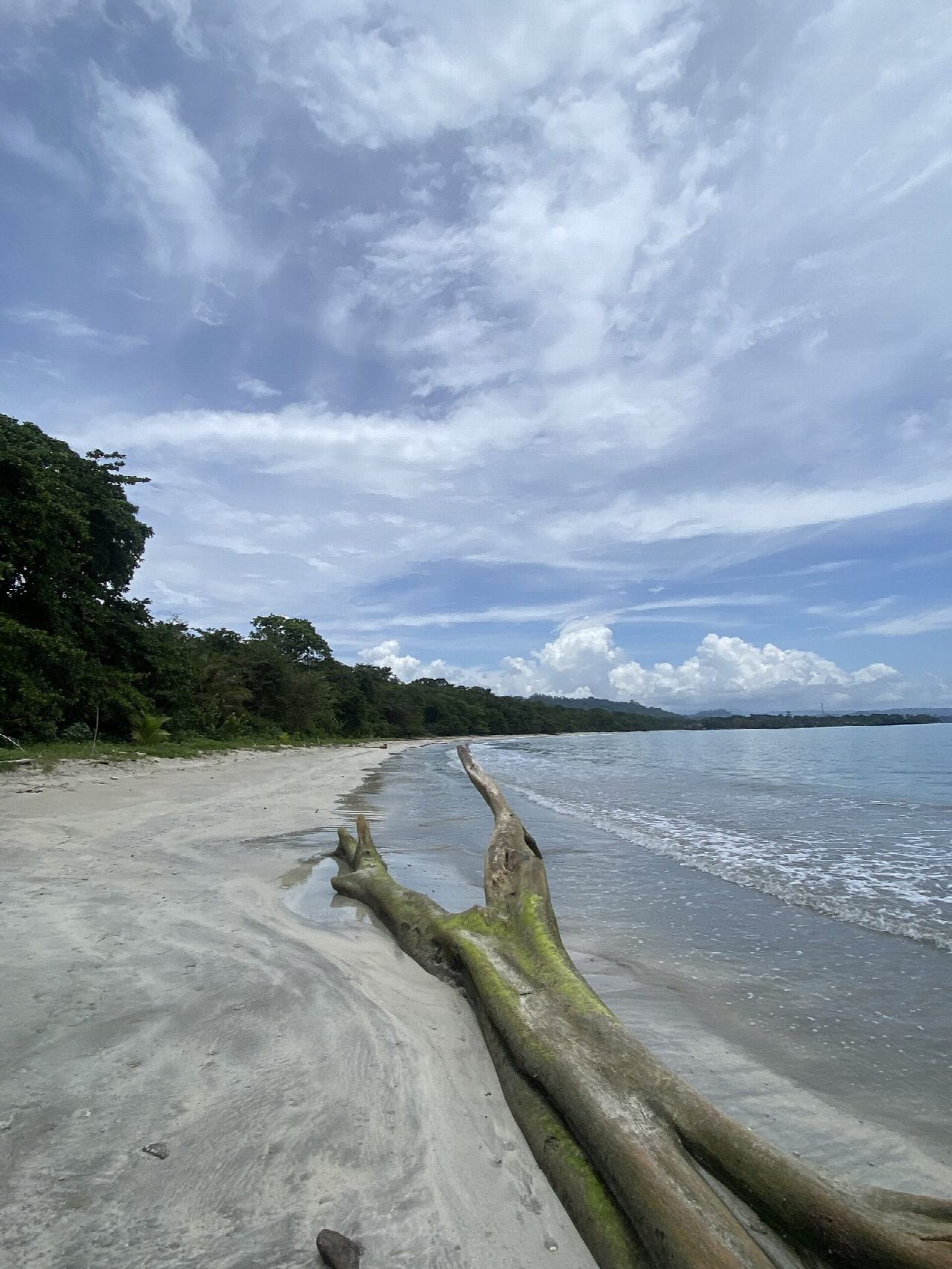 Sendero Punta Cahuita, Cahuita