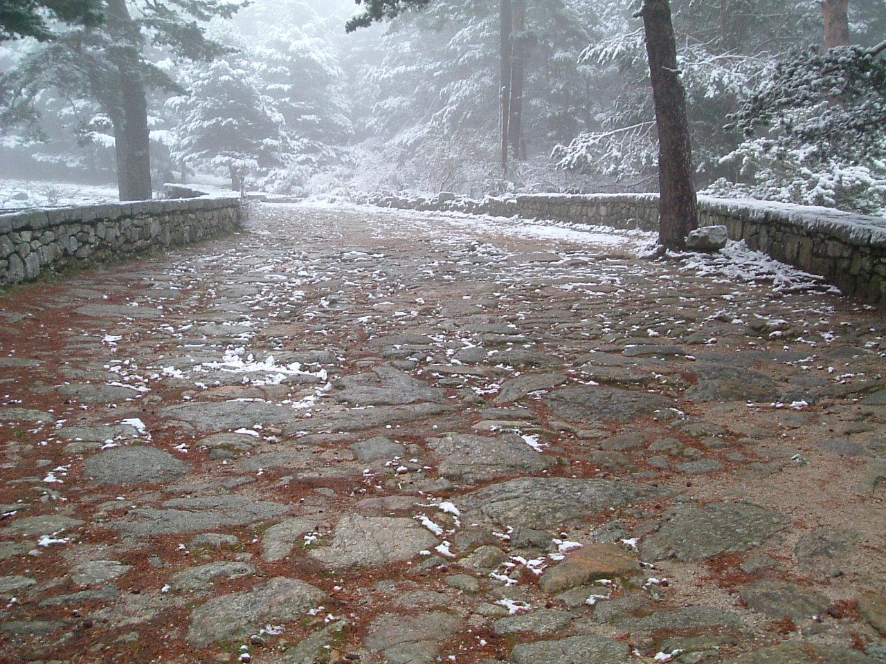 The Roman road to the Puerto de la Fuenfría from Cercedilla