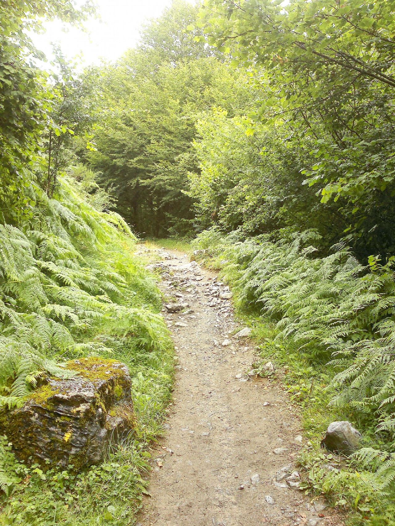 The Camino Francés from O Cebreiro to Triacastela