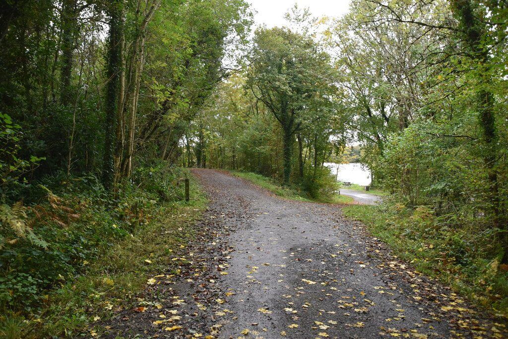 Castle Archdale Country Park and the Lough Erne shore