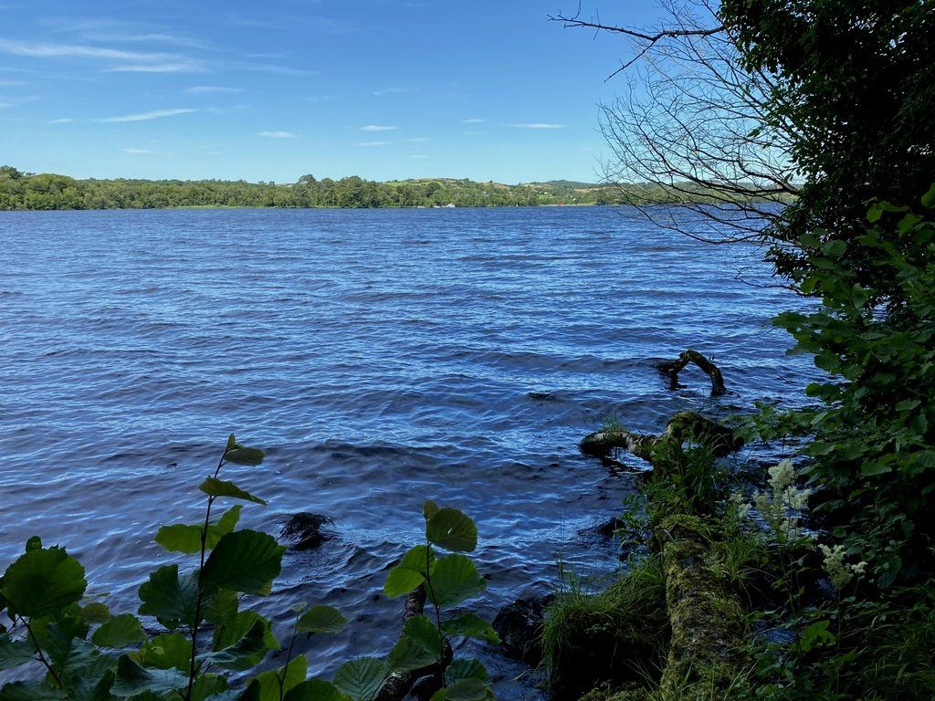 Castle Caldwell Forest: Rossergole Point