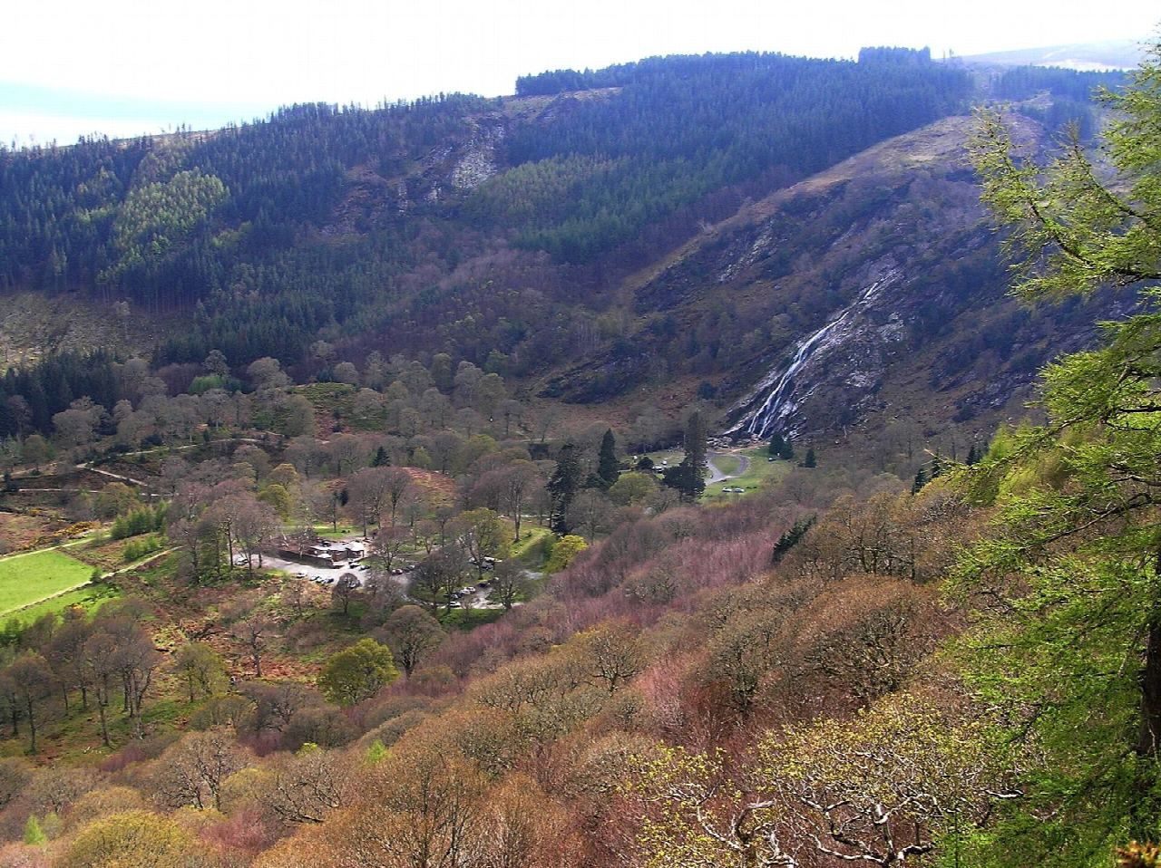 Crone Woods and Maulin, above Powerscourt Waterfall