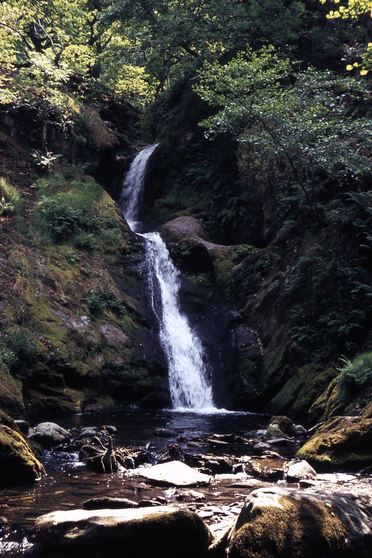 Dolgoch Falls