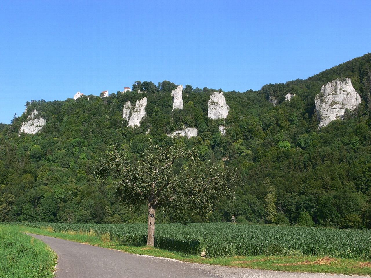 Eichfelsen and Burg Wildenstein from Beuron