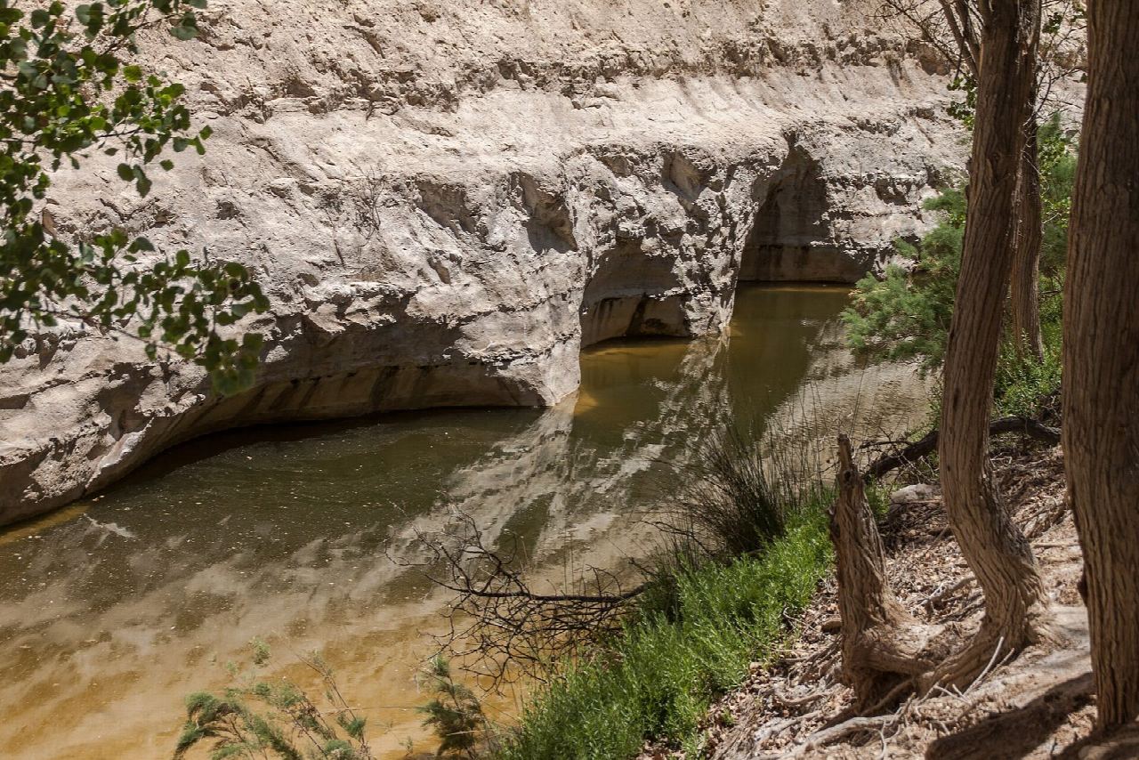 Ein Avdat canyon, waterfall and poplar grove