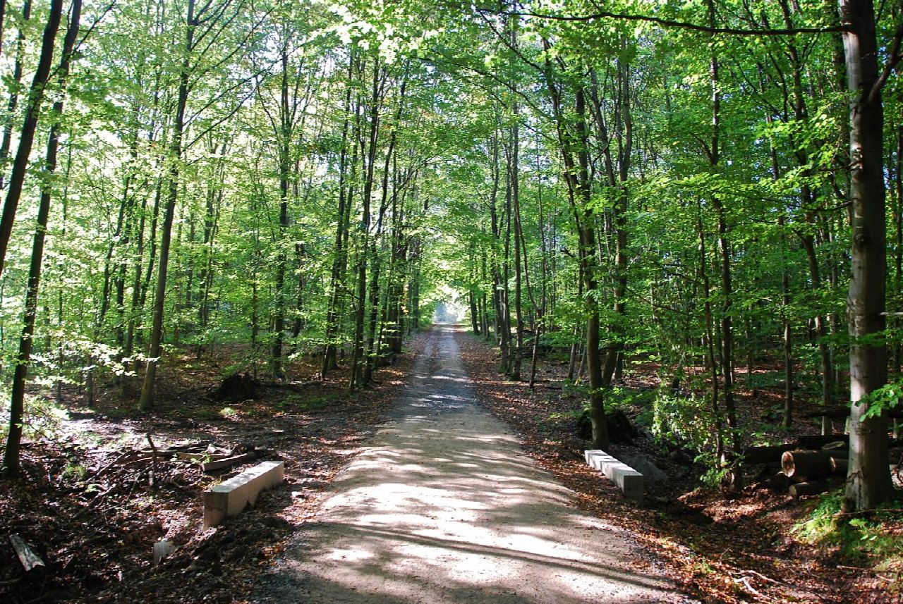 Flossendellewandeling