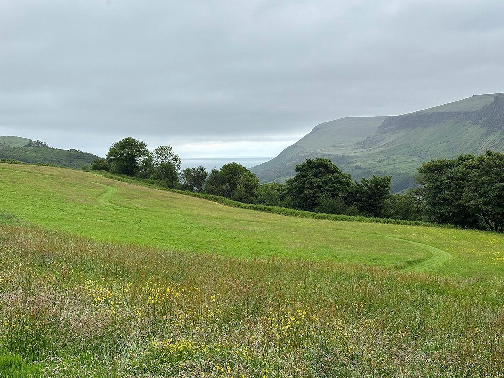 Glenariff Forest Park: the Scenic Trail