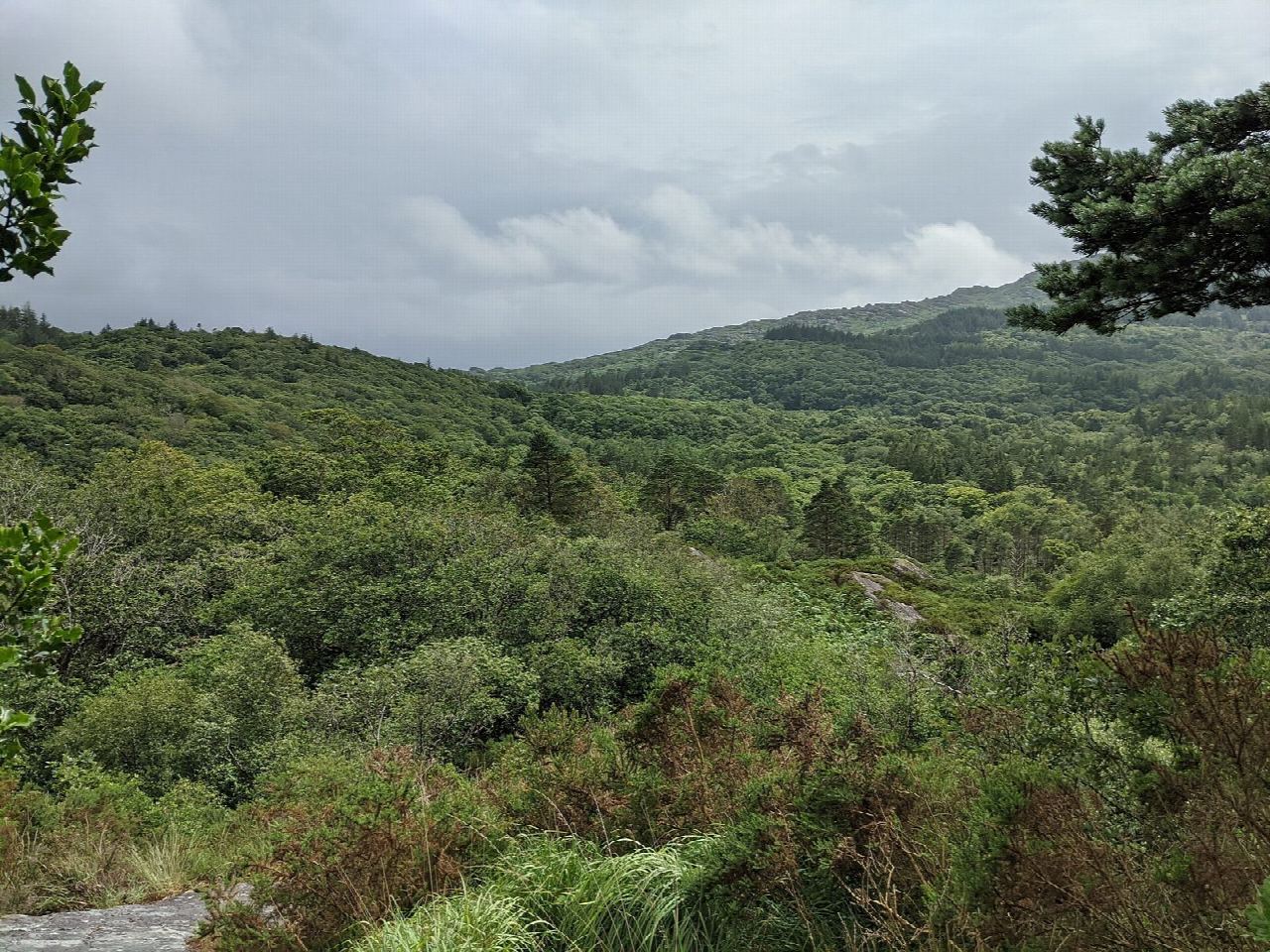 Glengarriff Woods and Lady Bantry's Lookout