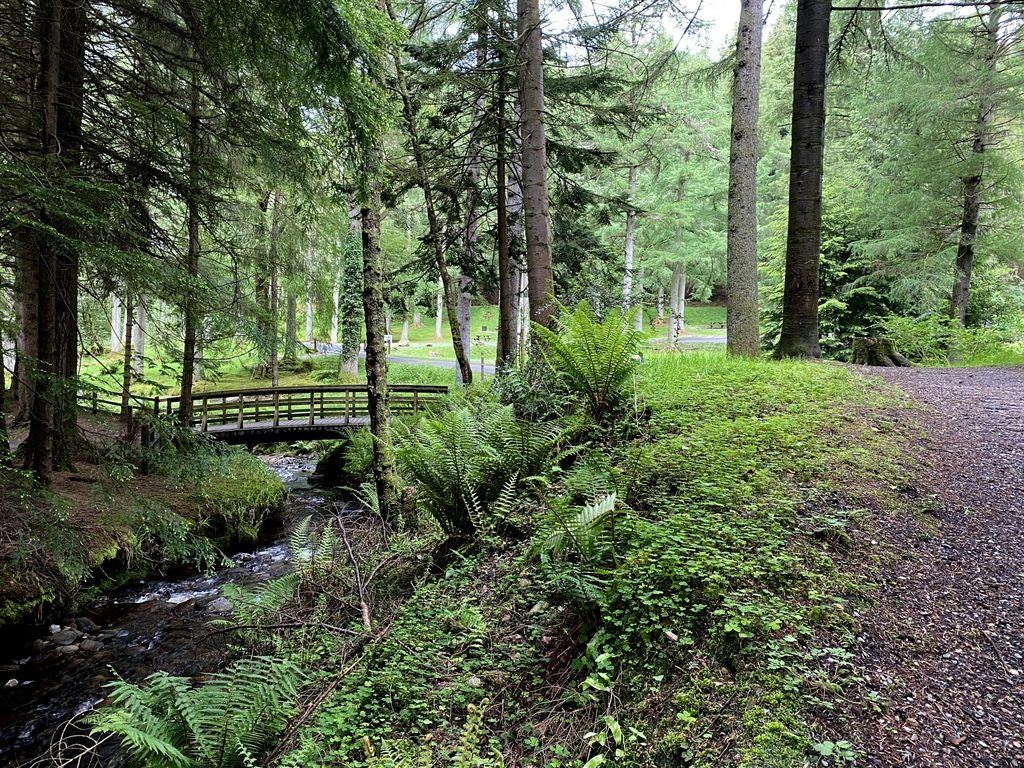 Gortin Glen Forest Park: Ladies View and the Nature Trail