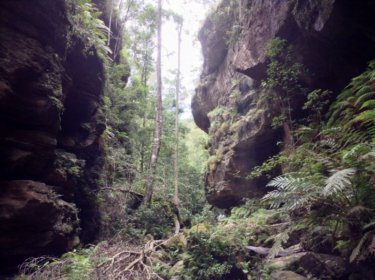 Grand Canyon track, Blackheath